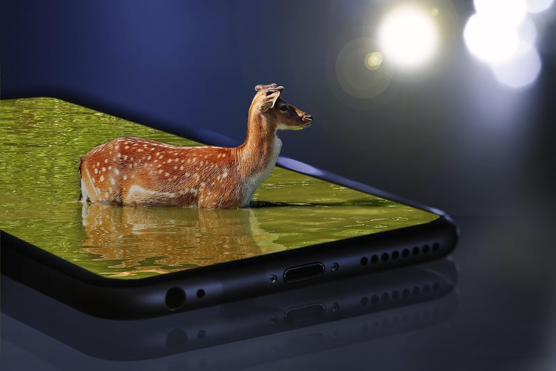 Innovative Plating